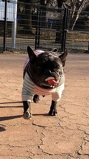 IMG_5029.jpg