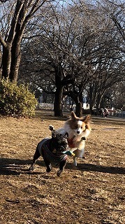 IMG_5067.jpg